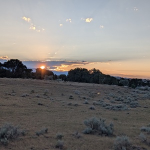 PXL_20260720_022527768.jpg